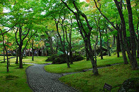 箱根美術館