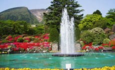 Hakone gora park