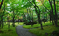 Hakone museum of art