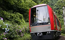 Hakone hydrangea train