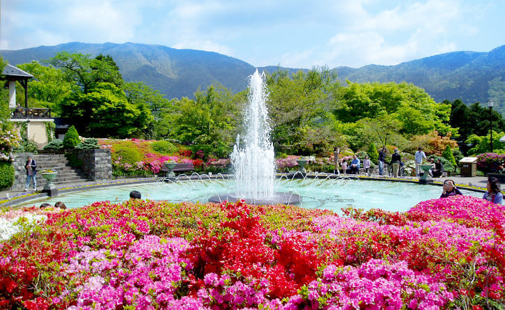 箱根を代表する観光スポット「箱根強羅公園」