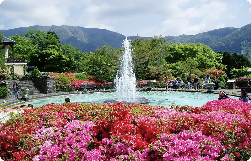 芦ノ湖と富士山
